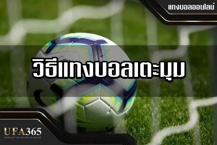 วิธีแทงบอลเตะมุมออนไลน์ ที่ ufa365